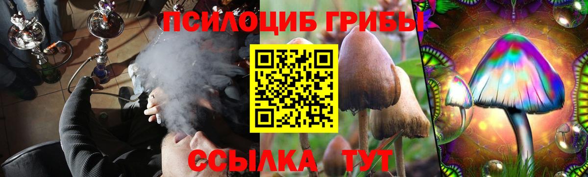 Псилоцибиновые грибы GOLDEN TEACHER  Вход с VPN  Псилоцибиновые грибы Psilocybe  Краснотурьинск 